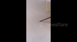 Ballpoint pen drawing after 140 hours of work