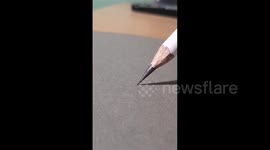 Fish ballpoint pen drawing