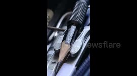 Weird creatures pen drawing