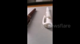 Drawing of the fish structure