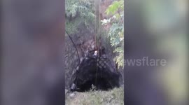 Tense moment rescuers pull trapped dog from 100ft well with a rope