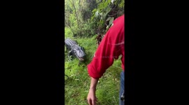 Alligator Feeding At Gatorland In Orlando Florida