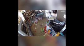 Little Escape Artist Successfully Escaped From Her Playpen Caught On Camera