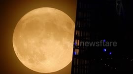 Lunar surface seen clearly during Harvest Moon sighting above London