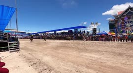 Thailand's annual buffalo racing festival goes ahead despite coronavirus downturn