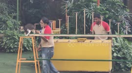 Eye-catching cat performance in animal safari Malaysia