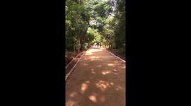 Morning walkers in public park