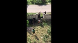 Young boys shepherding goats