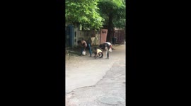 Family picking flowers in India