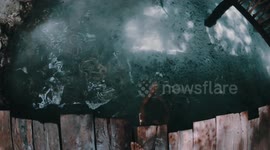 Turtles say hello to a holiday maker swimming in a jungle ceynote