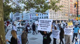 Horse Carriage Protest against abuse in New York City - October 3rd 2020 - New York, N.Y. USA.