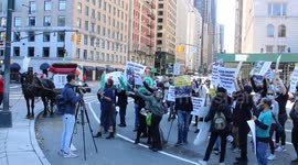 Horse Carriage Protest against abuse in New York City - October 3rd 2020 - New York, N.Y. USA.