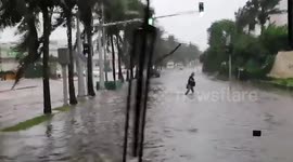 Tropical Storm Gamma hits Cancun in Mexico causing flooding