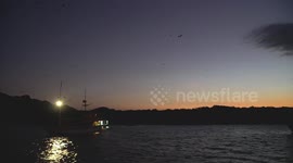 Thousand of Bats Flying Above an Island