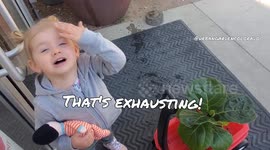 Toddler Explains Houseplant Tips and Tricks