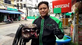 Thai delivery rider amuses customers with Predator motorcycle helmet
