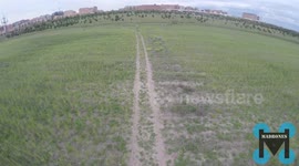 varied shots  in the field Madrid Spain