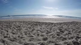 beach scenery