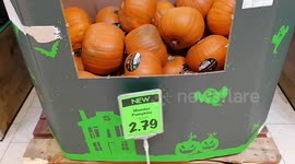 Pumpkins for sale