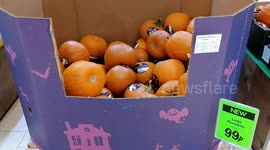 Pumpkins for sale