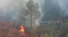 California Wildfire Brush Fire B-Roll Napa Fire Glass Fire