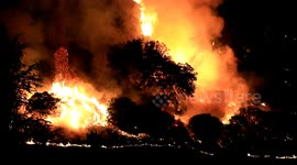 California Wildfire Hillside Flare-Ups B-Roll Napa Fire Glass Fire