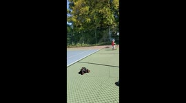 Dad Fail  Riding Kids Scooter And Fell Hard