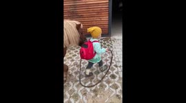 Little girl adorably leading her ponny