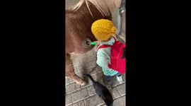 Cute toddler brushing her ponny.
