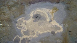Snorkeling in a bubbling geothermal river in Iceland that looks like nature's Lava Lamp