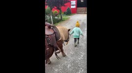 Little toddler leading her ponny for a ride