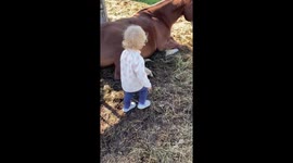 Adorable toddler hugging her horse