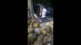 The woman peeled 300 dried coconut shell in an hour very quickly with just a spear