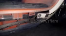 Kitten rescued after getting stuck in motorcycle for two days in Thailand