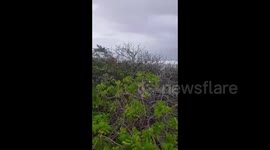 Cayman Islands: Winds Pick Up As Hurricane Delta Passes By 2