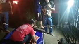 Dog rescued after head gets stuck in metal gate in Thailand