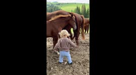 Little toddler adorably greets and hugs a horse baby.