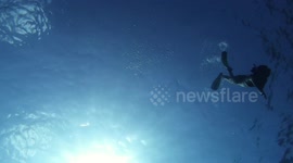 Two bubble rings creating art