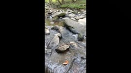 Relaxing Sounds Of The Water Gentle River Creek