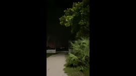 Windy night in marina