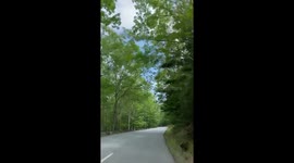 Bar Harbor Maine Acadia national forest drive