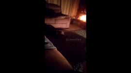 Crazy, excited Staffy dog showing off doing his gymnastics in the glow of the evening fire