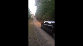 Stretched limousine