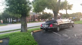 President Trump motorcade