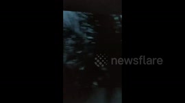 Mexico: Hurricane Delta Brings Strong Winds To Yucatan Peninsula 4