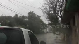 Hurricane Delta's wrath downs trees in Mexico