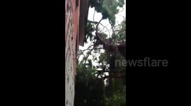 Mexico: Hurricane Delta Makes Landfall And Leaves Damages In Yucatan Peninsula