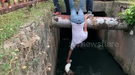 Three men rescue kitten from canal in Malaysia