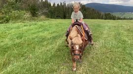 Adorable two-year-old is an expert pony rider