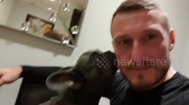 Bond between a dog and the dog owner